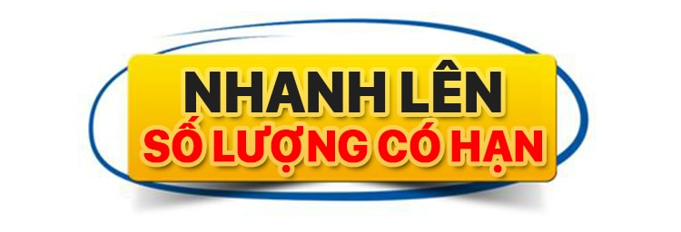 Màn tự động, Rèm điều khiển từ xa (động cơ rèm chính hãng)